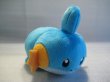 画像1: ポケットモンスター[ミズゴロウぬいぐるみ]Pocket Monsters [ Mizugorou Plush Doll] (1)