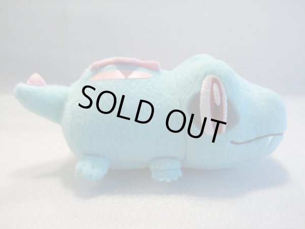 画像5: ポケットモンスター[ワニノコ＆ミズゴロウぬいぐるみ]Pocket Monsters [Waninoko & Mizugorou Plush Doll] (5)