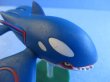 画像5: ポケットモンスター[立体ポケモン図鑑　全国版第5集　カイオーガ ]Pokemon [3D Pokemon Zukan 　Vol.5　Kyogre] (5)